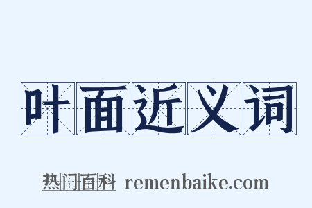 叶面近义词是什么意思的图片